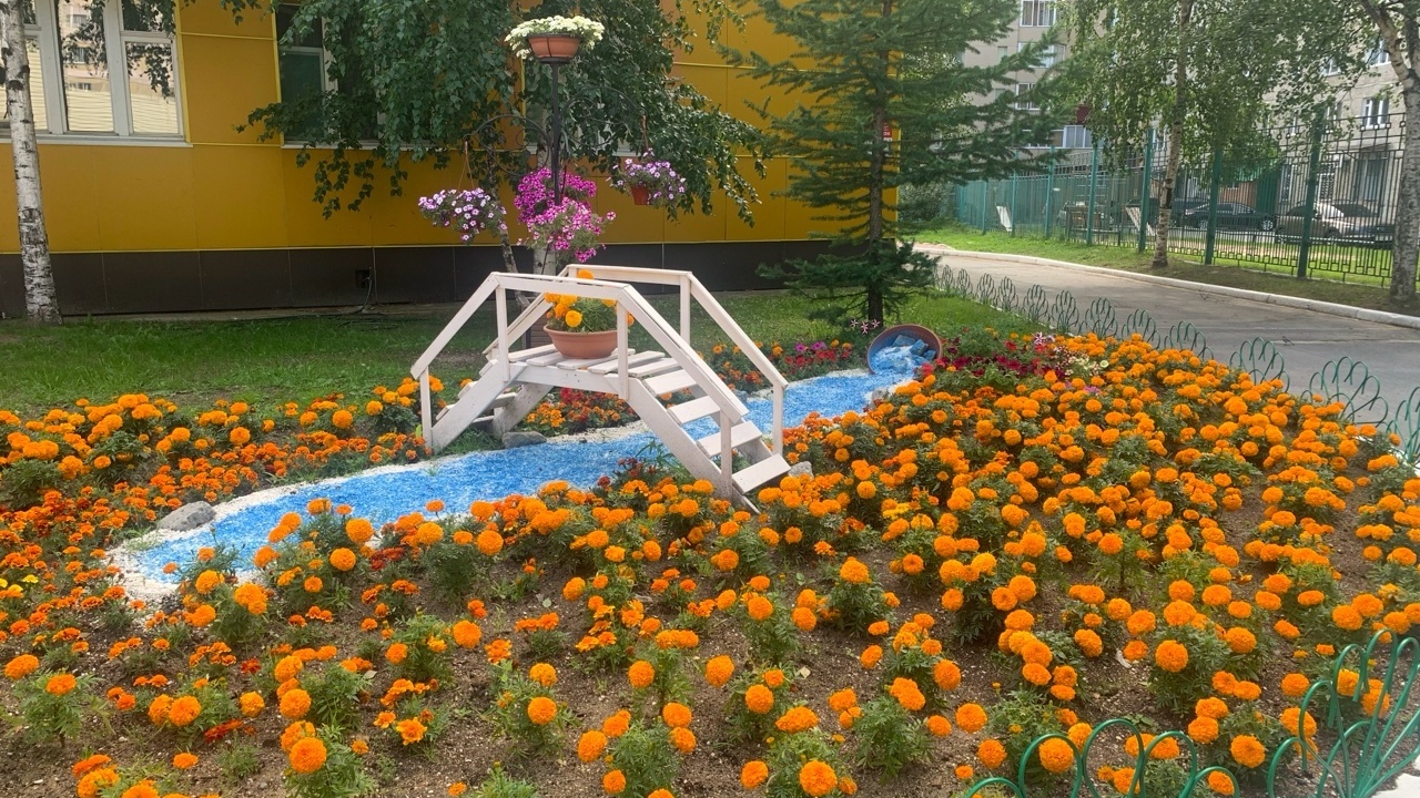 Это наша организация